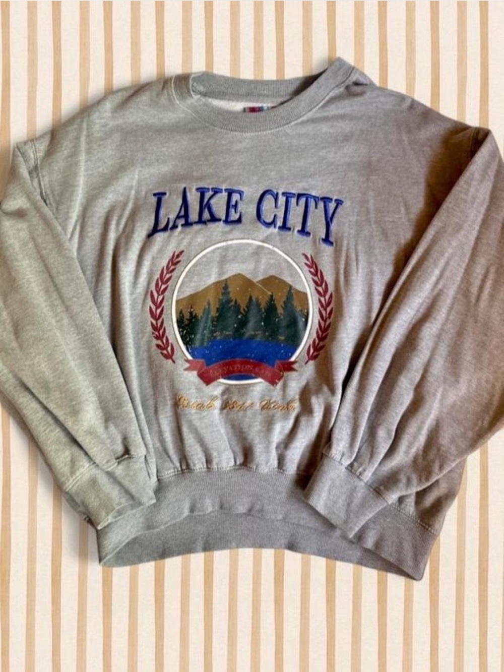 Urban Outfitters Crewneck